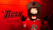South Dakota Hello GIF by Rapid City Rush