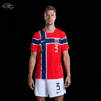 Fifa World Cup Uefa GIF by Respective