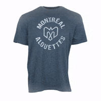 montreal als alouettes montreals GIF