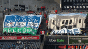 Major League Soccer Sport GIF by NYCFC