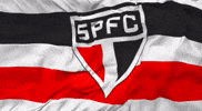 Sao Paulo GIF
