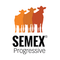 Semex Sticker by Cenatte