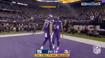 Minnesota Vikings Football GIF by NFL