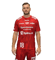 Aleksvlah Sticker by Aalborg Haandbold