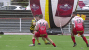 fc grenoble tackle GIF by FCG Rugby