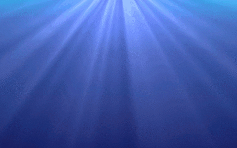 sea GIF