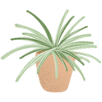 NicoleTejera plant plants plantas plant lady Sticker