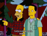 homer simpson GIF