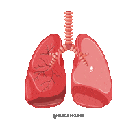 medbreaker lunge medizinstudium biologie medat Sticker