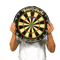 Board Facepalm Sticker by SPORT1