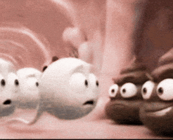 Gay Bro GIF