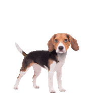 Shake It Off Chill Out Sticker by Chris Timmons