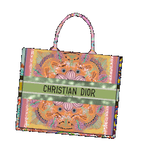 Christian Dior Fashion Sticker by iriskristen