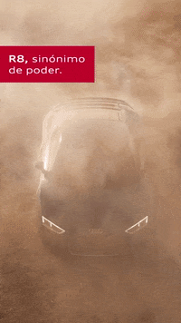 audichile  GIF