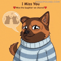 Miss You Love GIF by Doge Pound
