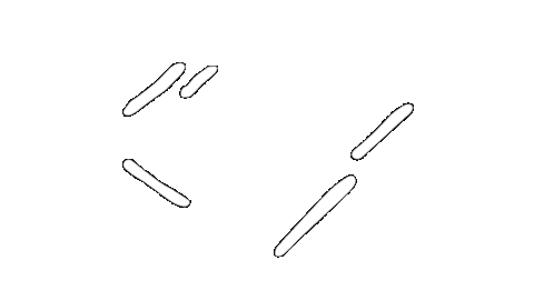 NoRealityAR giphyupload drawing doodle minimal Sticker