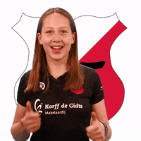 Rocmondriaan craeyenhoutma1 GIF