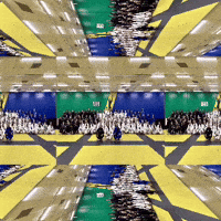 Btt GIF by Brazilian Top Team