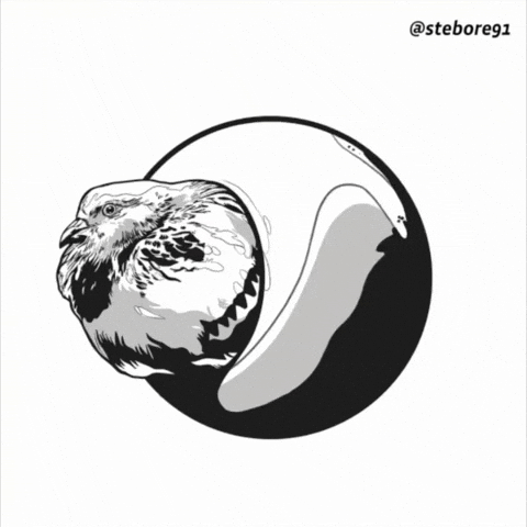 Loop Comedy GIF