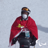 Paralympic Games GIF by International Paralympic Committee