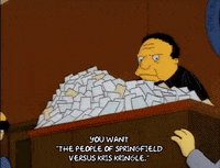 Season 4 Blue-Haired Lawyer GIF by The Simpsons