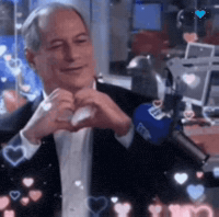Ciro Gomes GIF by Michel