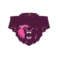 Bears Sticker by F45 Training Aljunied