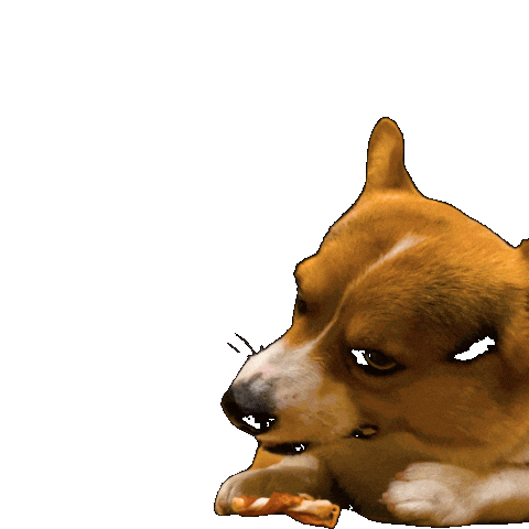 Corgi Milo Sticker