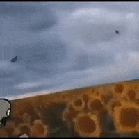 qwailj meme pvz plantsvszombies qwailj GIF