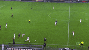 bayer 04 leverkusen kai GIF