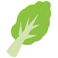 Vegetables Spinach Sticker