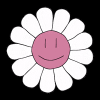 Daisy GIF by CG Labs