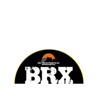 Brx Sticker by Barry Roubaix