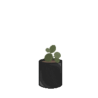 Plants Grow Sticker