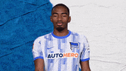 Bundesliga Berlin GIF by Hertha BSC