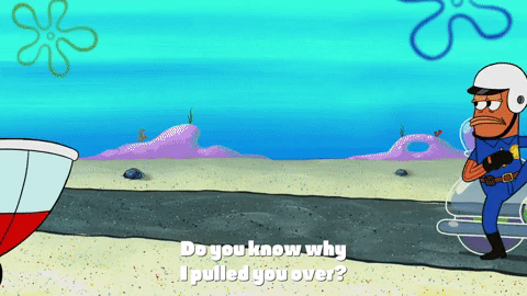 season 10 episode 6 GIF by SpongeBob SquarePants