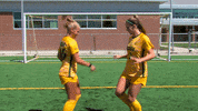 Soccer Strand GIF by NDSU Athletics