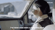 viceland GIF by WEEDIQUETTE