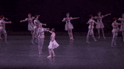 pas de deux pirouette GIF by New York City Ballet