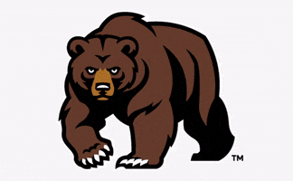 Bears Win GIF by Landon School