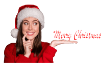 Christmas Realestate Sticker by Ranlife