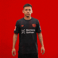 Bayer 04 Team GIF by Bayer 04 Leverkusen