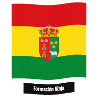 Castilla Y Leon Flag Sticker by Formación Ninja