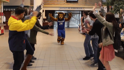 college training GIF