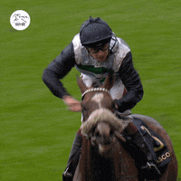 Royal Ascot Horse Riding GIF by World Horse Racing