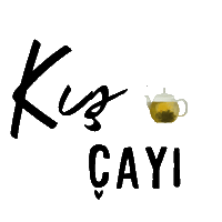 Mnks Kış Sticker
