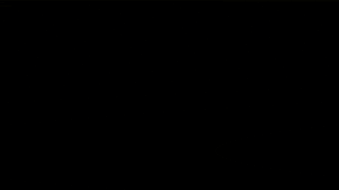charity siepomaga GIF