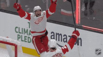 Happy Red Wings GIF by NHL