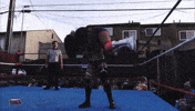 Fallyn Grey GIF