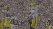 College Sports Sport GIF by LSU Tigers